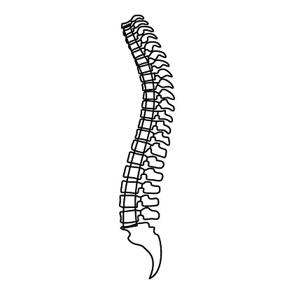 脊椎象,简单的样式41902221中医理疗养生馆挂图图片19021365