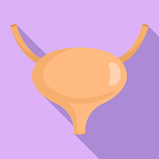 膀胱图标。用于网页设计的膀胱矢量图标的平面插图。膀胱图标，平面样式