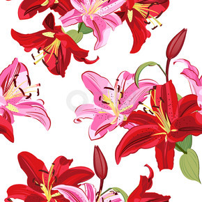 白色背景上的百合花无缝图案，粉色和红色百合花卉矢量图解