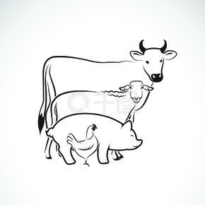 维克托集团在白色背景动物养殖场的设计，牛，羊，猪，鸡。标志动物。易于编辑的分层矢量图。动物农场图标。