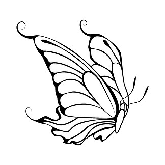<i>画</i>出蝴蝶。概要设计。矢量图。