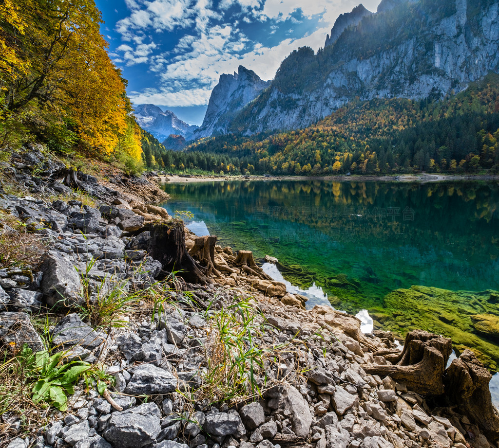 ϰµ Gosausee  Vorderer Gosausee ׮ɽɫͷ׵＾ɽۣ峺͸ˮ͵Ӱ˹̹ɽԶı