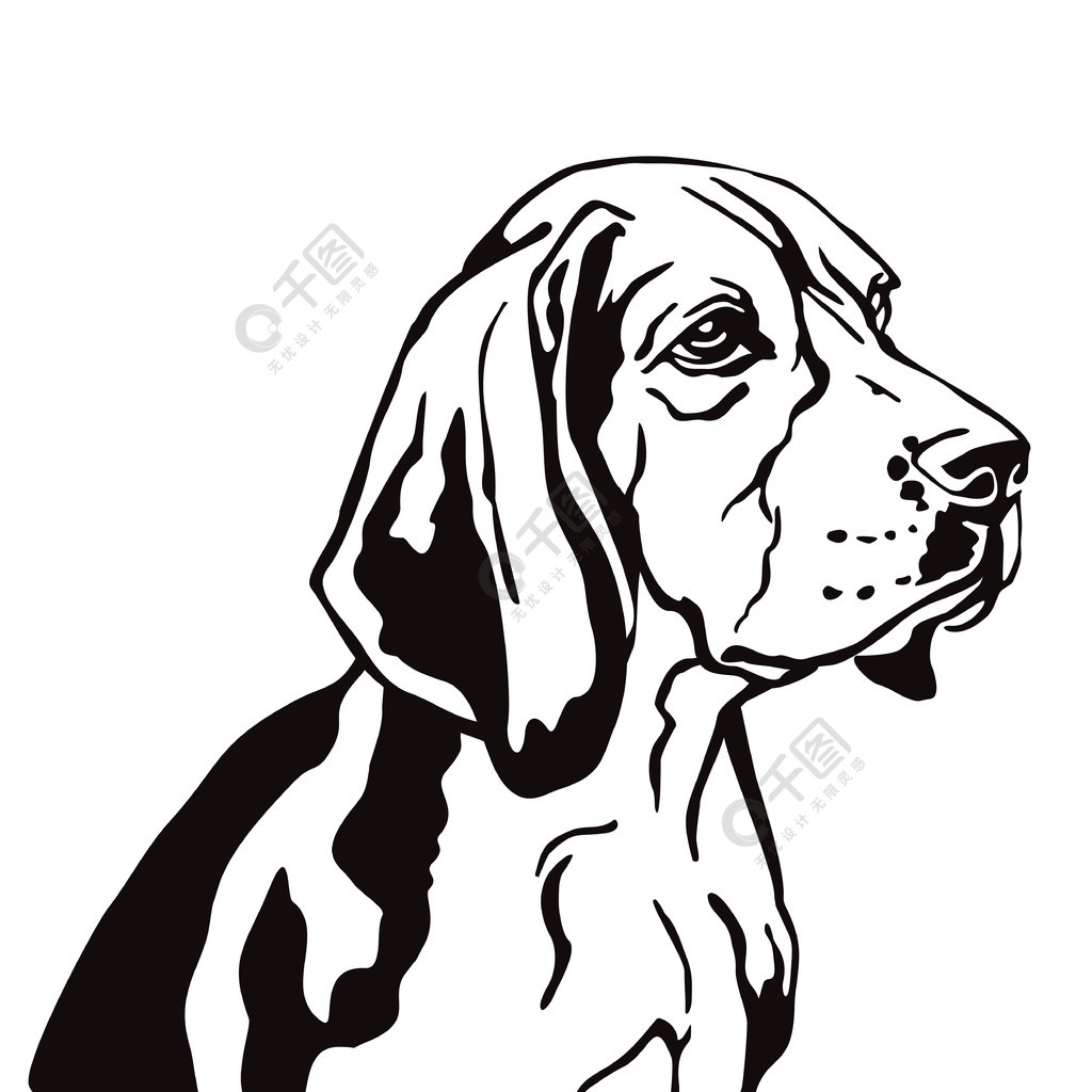 狗比格犬的装饰轮廓轮廓肖像在轮廓中看在白色背景上孤立的黑色矢量