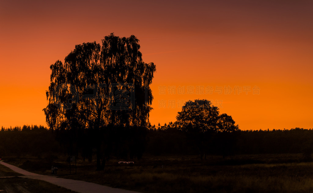 ʱ veluwe ľļӰ