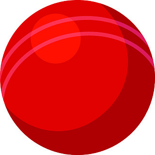 鄱阳二中戴红球图片