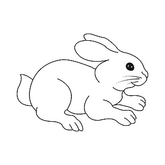 北极野兔怎么画图片