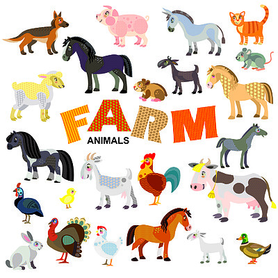 农场动物在正面视图和侧面视图大矢量卡通设置在白色背景上孤立的平面