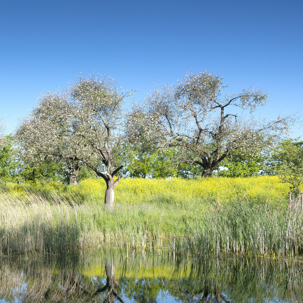 ڵ֧ Werk aan de Groeneweg µĻɫƻ