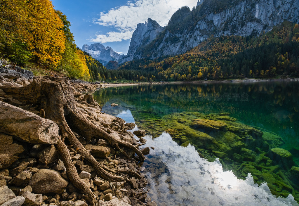 ϰµ Gosausee  Vorderer Gosausee ׮ɽɫͷ׵＾ɽۣ峺͸ˮ͵Ӱ˹̹ɽԶı