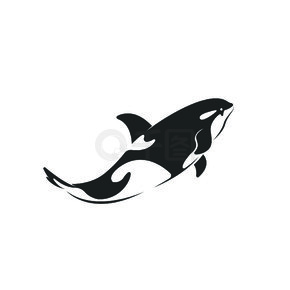 白色背景上的鲸鱼设计矢量。易于编辑的分层矢量图。野生动物。海底动物