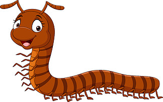 秘鲁巨人蜈蚣卡通图片