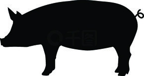 白色背景上的猪。猪标志。猪肉动物符号。猪剪影边复古复古。