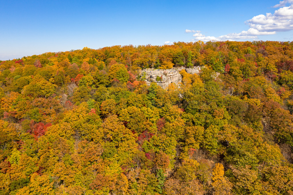 Coopers Rock ԰Ŀ˻ͼ＾ Cheat ӹȣĦظ Cheat  Coopers Rock ԰ݵɫӵ׺