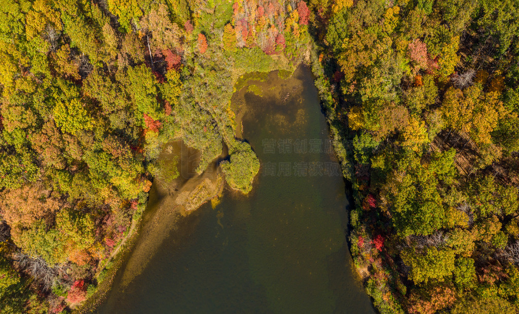 ˻ͼֱ＾԰ Coopers Rock Lake  Glade RunλĦ WV ＾＾ɫʵ԰˹Һ϶µͼ