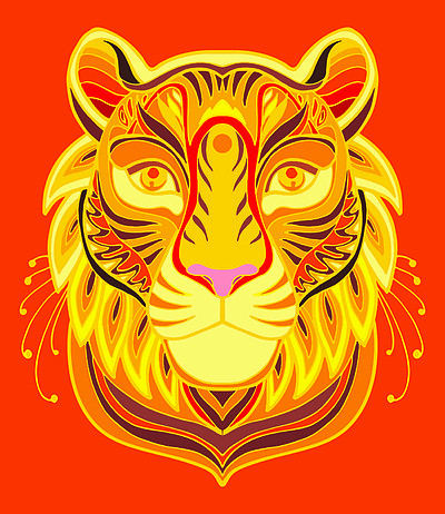 老虎的矢量彩色观赏肖像孤立在红色背景上的装饰抽象对称图