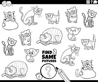 为有趣的猫和小猫动物角色着色书页的儿童寻找两张相同的图片教育任务的黑白卡通插图