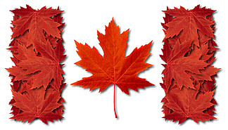加拿大叶旗由三维红枫叶制成，作为秋天的象征，作为加拿大<i>骄</i>傲的季节性主题概念，作为白色背景上秋天天气的图标。