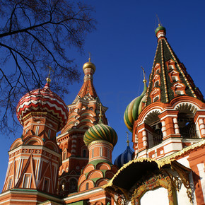 莫斯科红场上的树和圣瓦西里大教堂