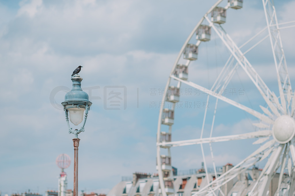 ԰Э͹㳡ϵĦRoue de ParisӶ԰Э͹㳡ĦRoue de Paris