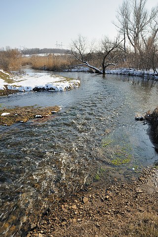 春天的河流春季解冻天气后的汹涌小溪