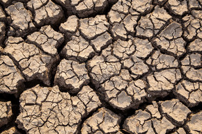 由于缺水，干旱已经破坏了地面裂缝。
