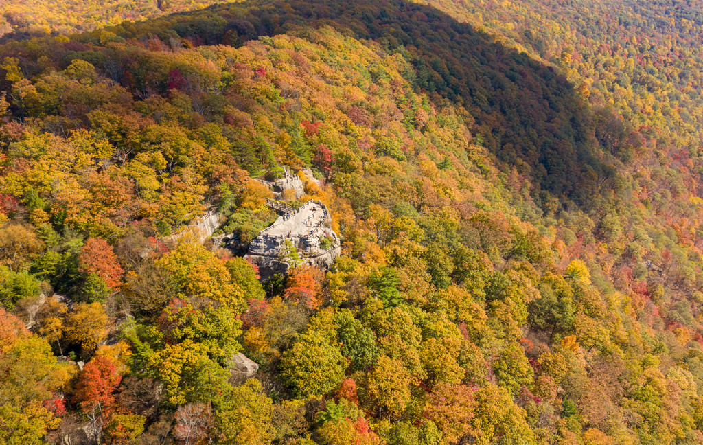 Coopers Rock ԰Ŀ˻ͼ＾ Cheat ӹȣĦظ Cheat  Coopers Rock ԰ݵɫӵ׺