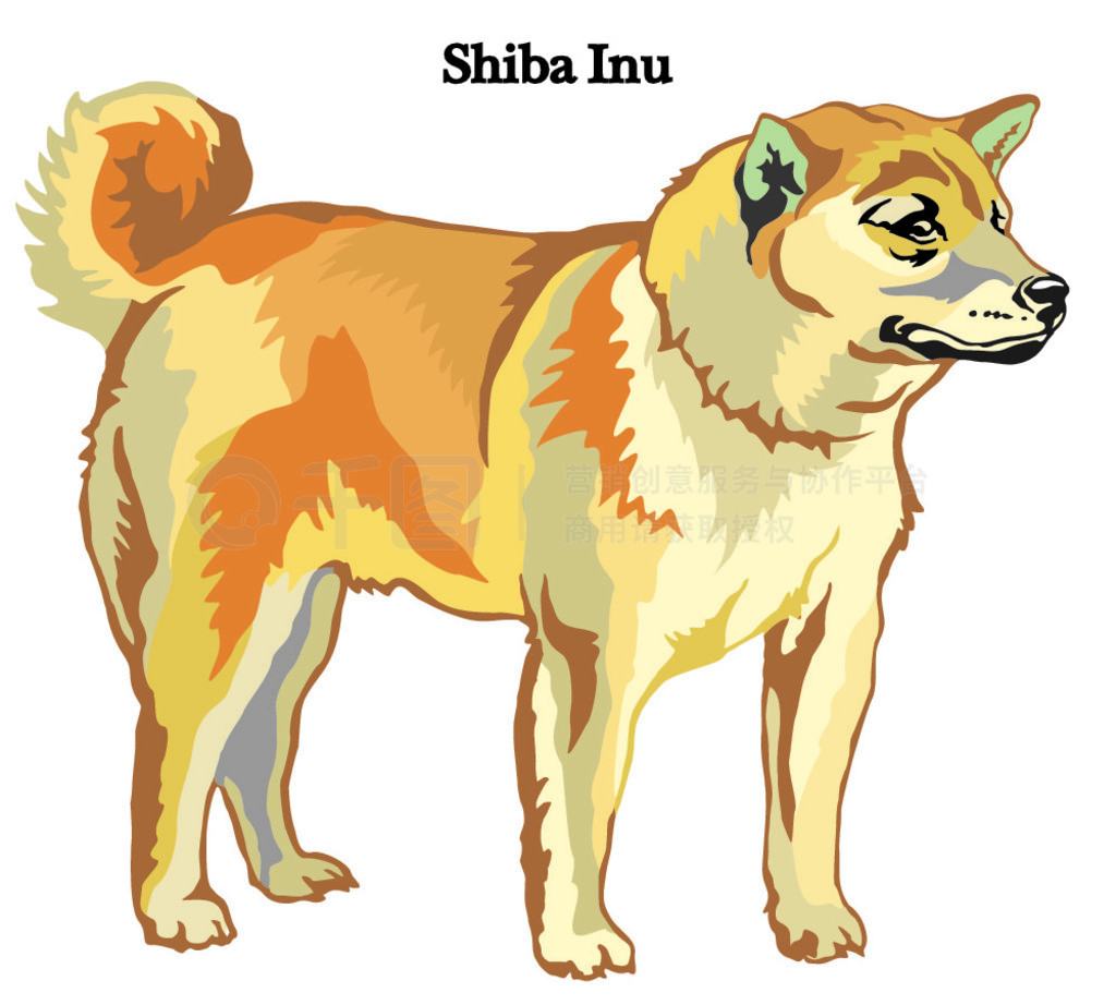 վ Shiba Inu ʸɫͼڰɫ¸Ф