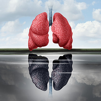 肺<i>健</i><i>康</i>概念作为<i>健</i><i>康</i>的肺在<i>不</i><i>健</i><i>康</i>的人体器官的水中投射反射作为心血管疾病风险的医学隐喻与 3D 插图元素。