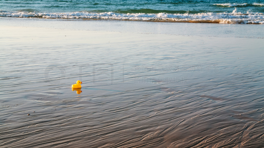 ǰά  䳱ʱڰиά̲ praia da rocha baixinha nascente СѼ