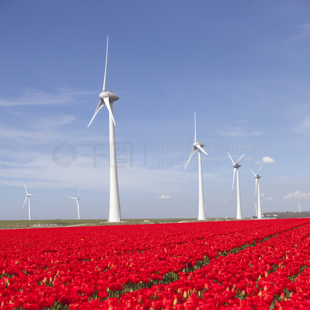  noordoostpolder flevoland ͺɫķֻ