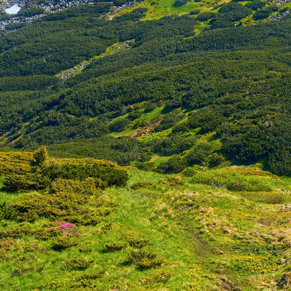 ļɽɽѩڿ Chornogora Ridge ַ̨