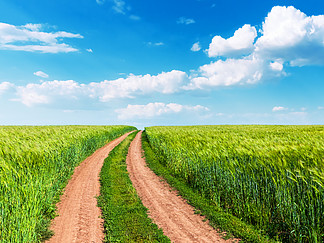 绿色<i>农</i>村小麦田、蜿蜒的道路和蓝天白云的夏日风景背景观