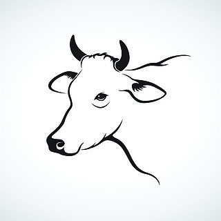 奶酪牛图标,平面样式白色背景上两只牛头设计的矢量动物农场