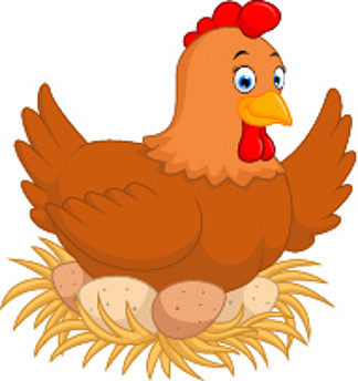 31孵蛋的母鸡350鸡的标志鸡网站的矢量标志的平面插图鸡徽标,平面样式