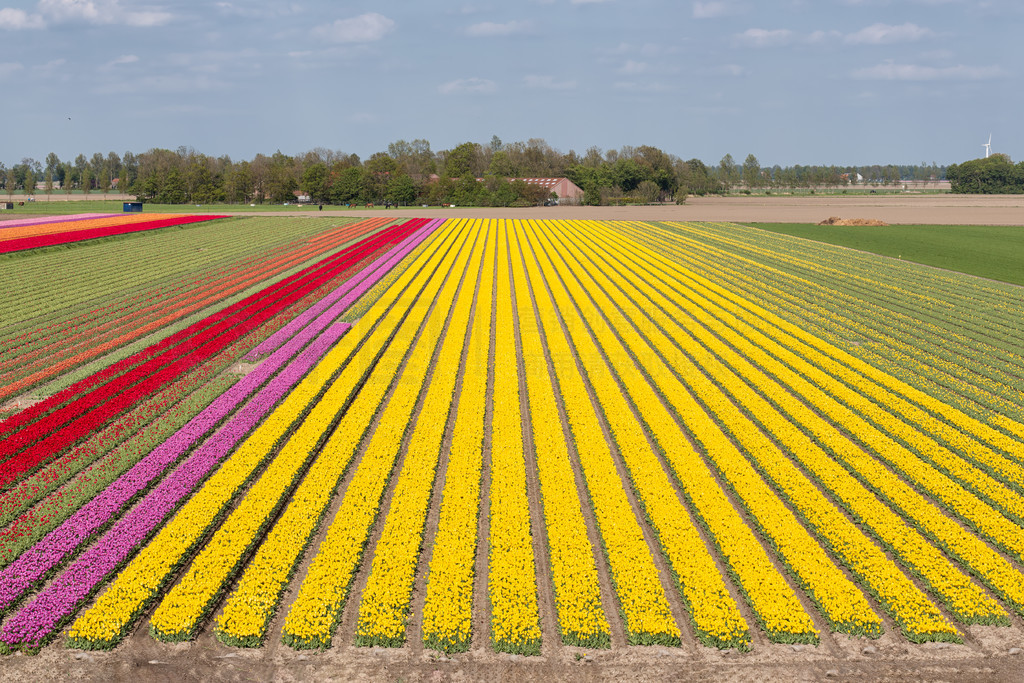 ں Noordoostpolder ɫ͵ Noordoostpolder Ĳɫ