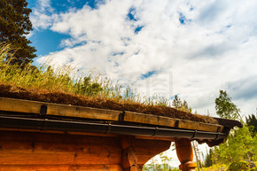挪威典型的乡间别墅，屋顶上有草。有草屋顶的挪威房子