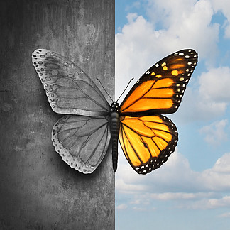双相情感障碍抽象的心理疾病概念是一只蝴蝶，一边是灰色和悲伤的颜色，另一边是明亮的色调，作为精神情绪或感觉不平衡的医学隐喻。