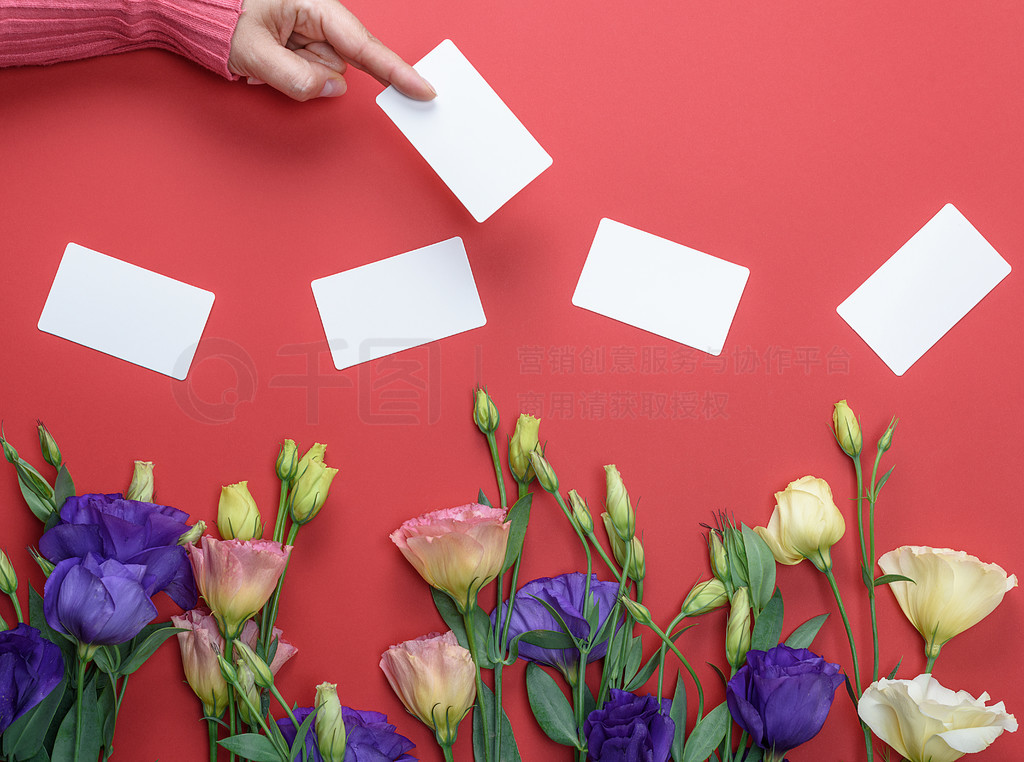 ɫëµŮһſհ׵İֽƬɫʻ Eustoma Lisianthus