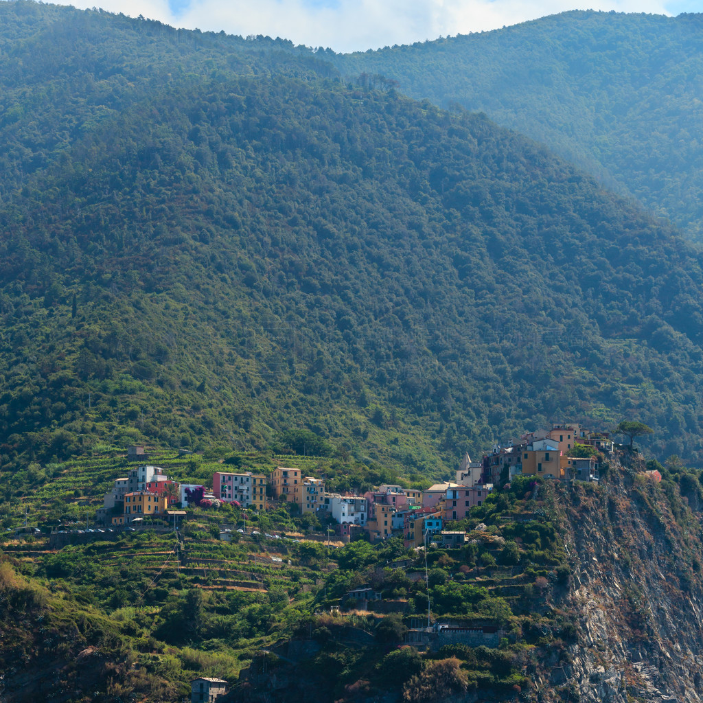  Corniglia ͼҹ԰ׯ֮һǺͶϵ½֮䡣