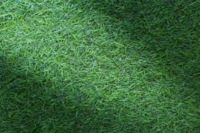 高尔夫球场、足球场或运动背景概念设计的草地纹理。人造草。