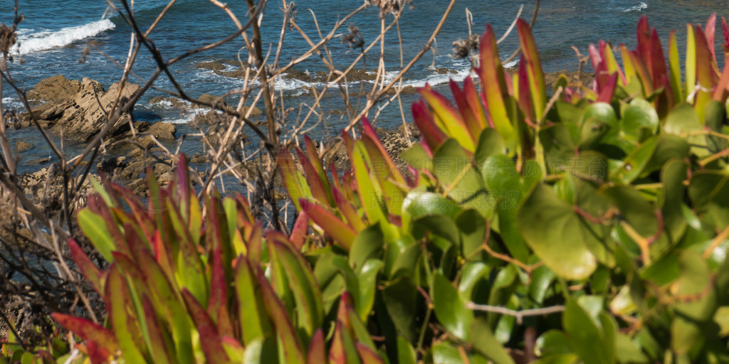 Porto das Barcas beach, Vila Nova de Mil Fontes, , 