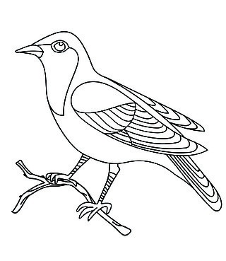 矢量线条艺术单色歌鸟夜莺坐在树枝上孤立在白色背景上的黑色轮廓图