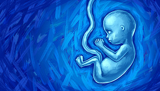 胎儿发育和未出生婴儿概念作为人类胎儿或产<i>前</i>发育儿童，脐带作为产科医学符号，用于 3D 插图风格的妊娠健康和产<i>前</i>保健。