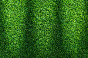 高尔夫球场、足球场或运动概念设计的草纹理背景。人造绿草。