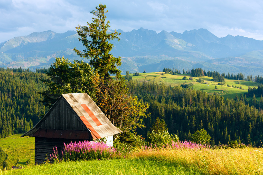 ҹɽ彼ǰзۺɫĻľ Tatra ɽ޸ᣩ