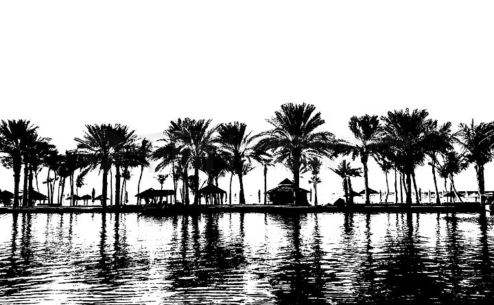 迪拜棕榈滩的黑白剪影与水面反射