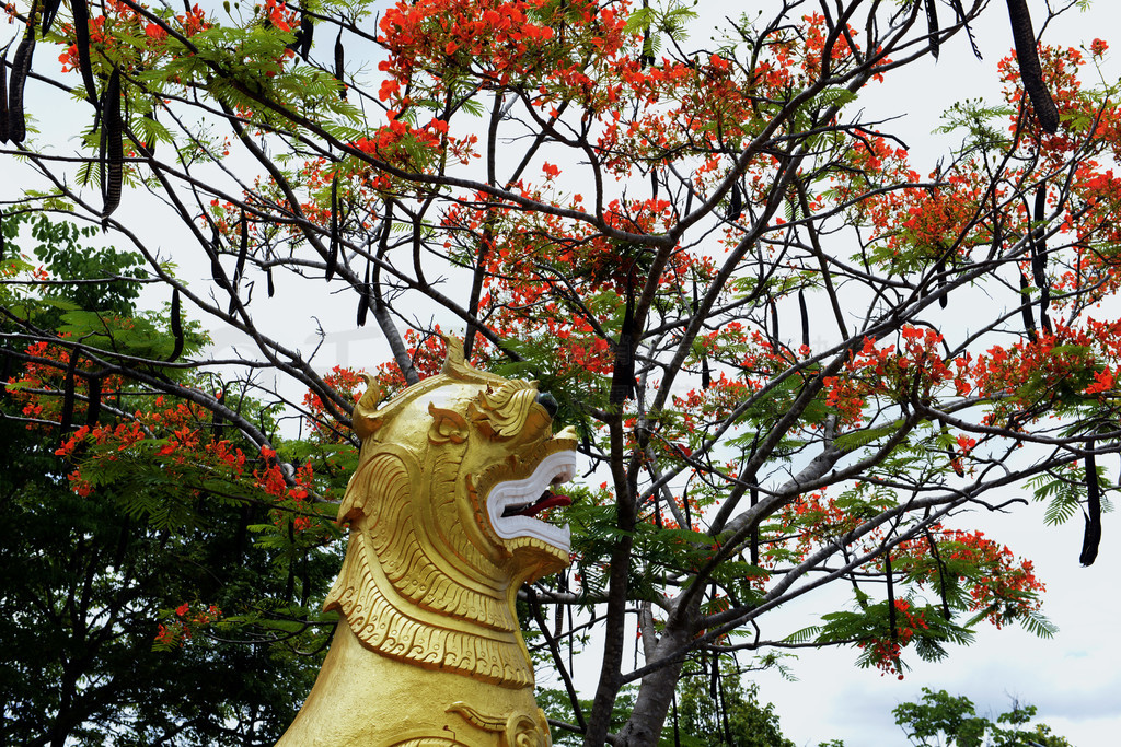 Wat Phra That Doi Kong Mu λ̩غ˳ʡغ˳ɽϣλڶ.. ̩غ˳