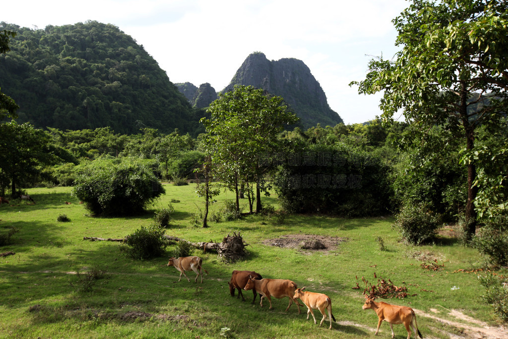 θɵв Tha Khaek и Tham Pa Fa Χľۡ LAO KHAMMUAN 