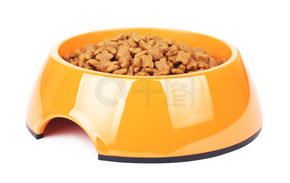 黄色碗里的干猫粮，白色背景中突显