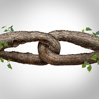 强链概念连接为两个不同的树干，作为牢不可破的链连接在一起，作为信任和信仰隐喻，表<i>示</i>依赖和依赖受信任的合作伙伴以获得支持和力量。